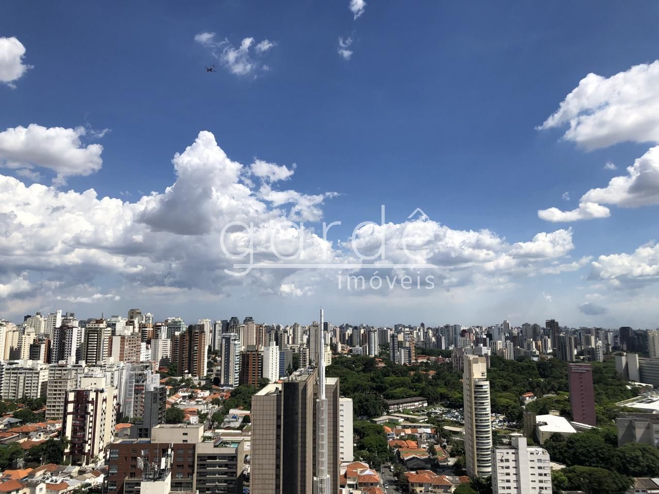 Cobertura com 4 suítes à venda em Ibirapuera, São Paulo, por R$ 21.500.000 Imagem 4